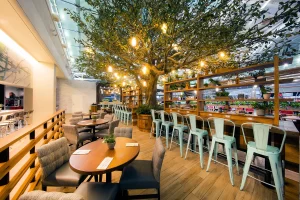 Istanbul Lounge Services 11 Bar